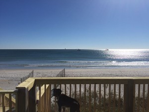 8604c1aa-0013-4b89-a311-1b99e67d0234.1 (1)